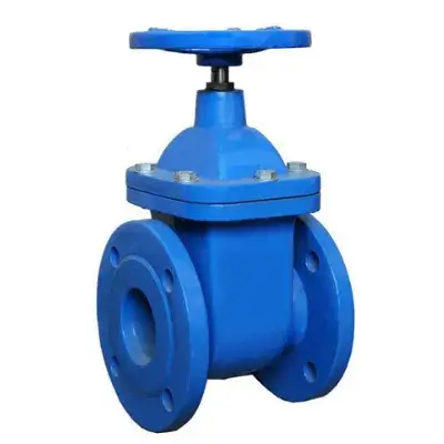 Cast iron valve Manufacturer in India