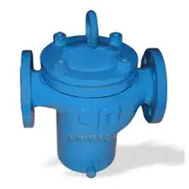 Strainer Valves Manufacturer