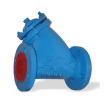 Strainer Valves India